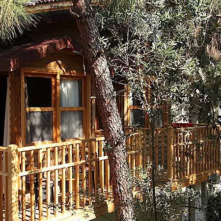 Hotel Pine Valley Ölüdeniz