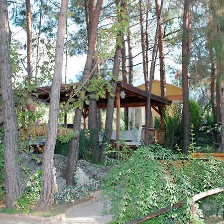 Pine Valley Ölüdeniz