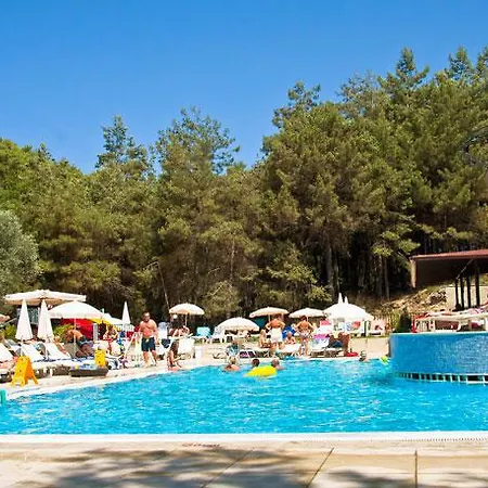Pine Valley