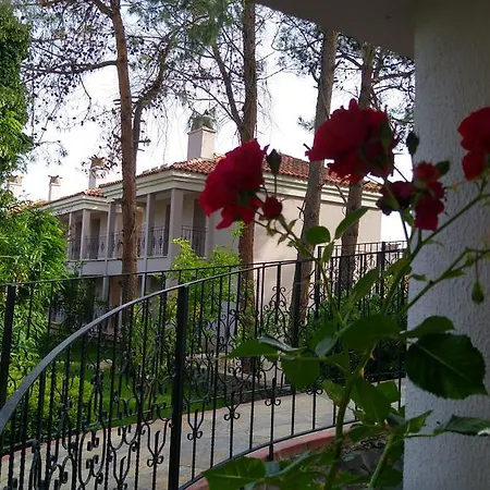 Hotell Pine Valley