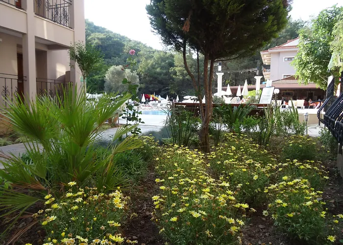 Pine Valley 4* אולודניץ