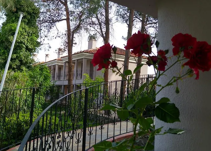 מלון Pine Valley